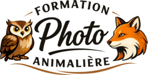 Formation Photo Animalière en ligne